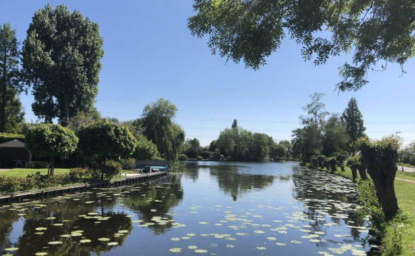 sa_1589037091_D6D0AAEA-50B5-41AF-9E38-16C737B2255A-825x510