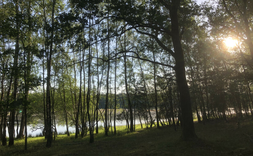 sa_1590988994_BF9B088C-A1C7-4086-9F17-371CFA03BAE7-825x510