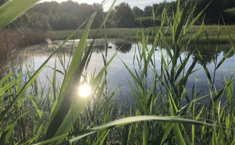 sa_1590990580_210B8E0D-FB2C-4F5F-88E8-90181511E93A-825x510