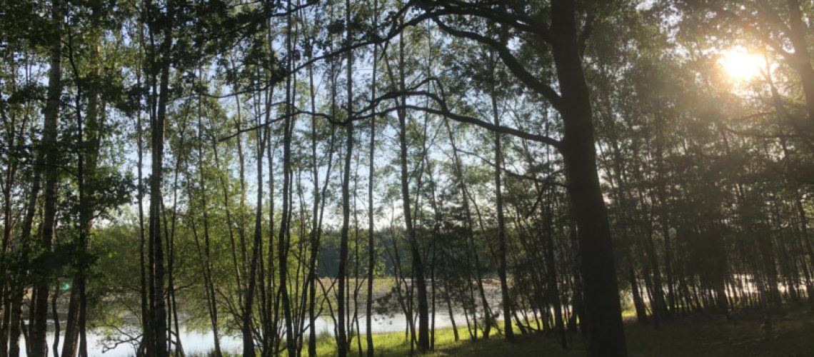 sa_1590988994_BF9B088C-A1C7-4086-9F17-371CFA03BAE7-825x510