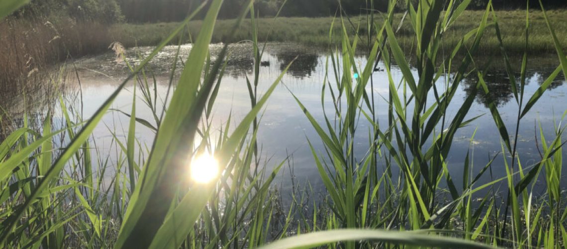 sa_1590990580_210B8E0D-FB2C-4F5F-88E8-90181511E93A-825x510