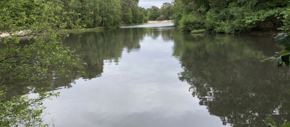 sa_1591534919_035AF718-AC38-41A2-9F94-6973846F515A-825x510