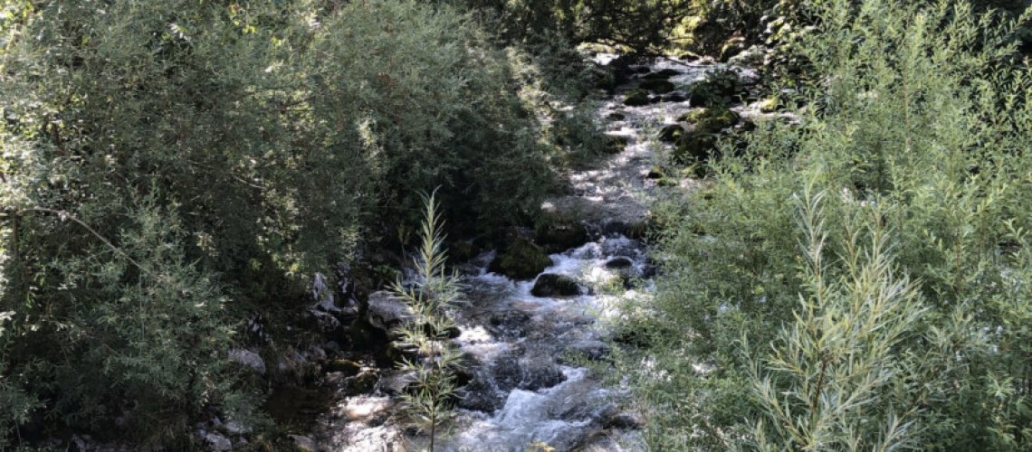 sa_1629276007_91396976-5649-429D-8E59-794B1BE8BFBA-825x510