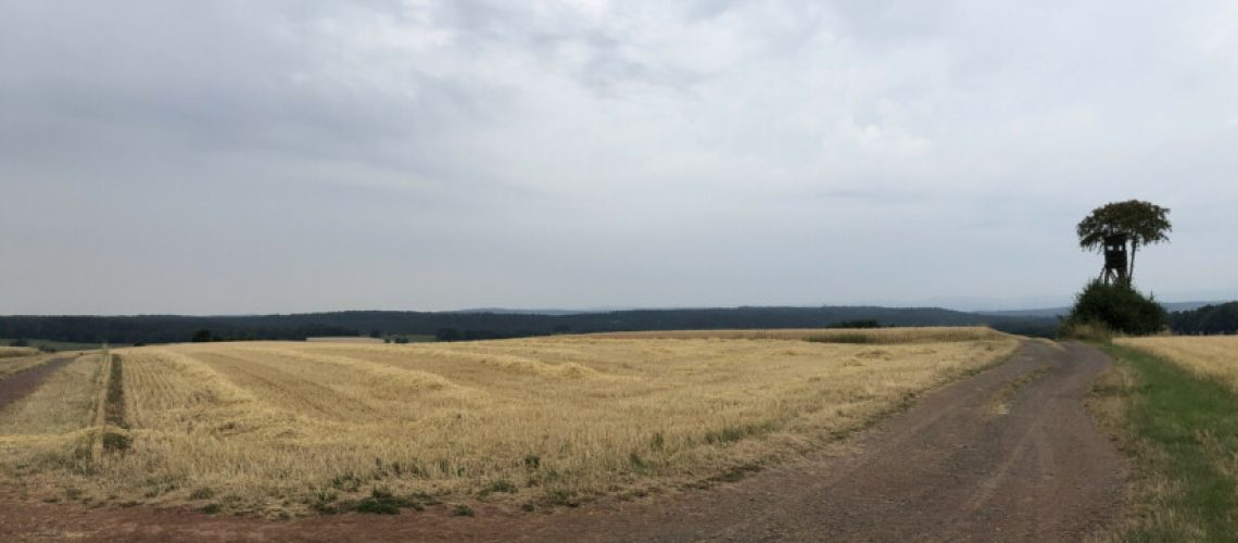 sa_1657786805_50B0DAD1-CB35-41FC-8D74-7DDF366D70EC-825x510