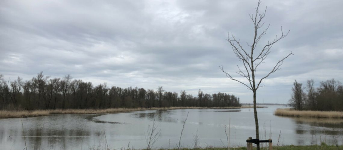 sa_1680962786_F4D24743-AF24-4F06-B241-D03CB8F9EE4C-825x510